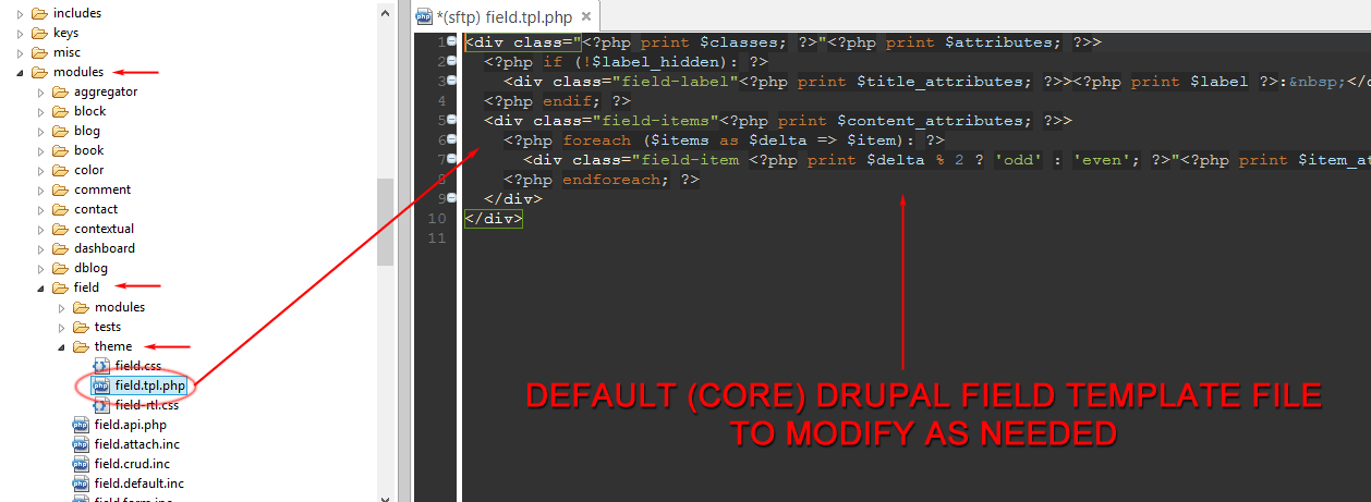 Drupal Field Template file