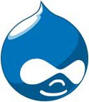 Why use Drupal for your website