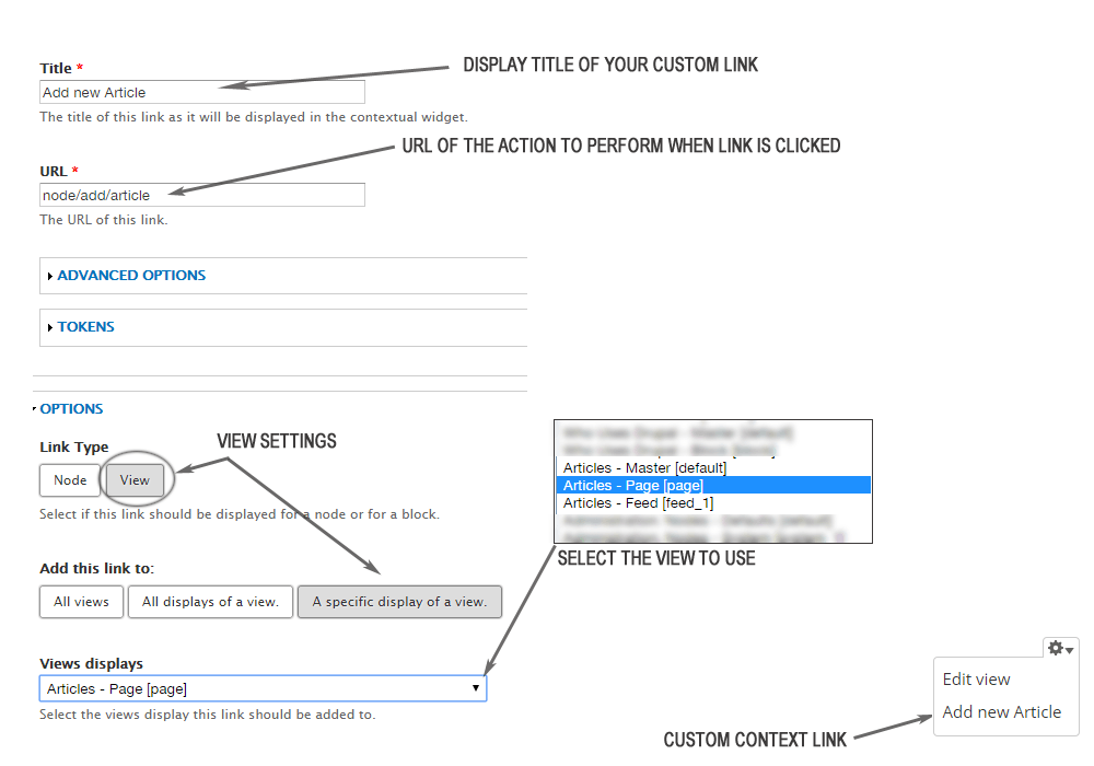 Custom Contextual Link View Settings